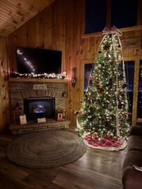 Night Christmas lights