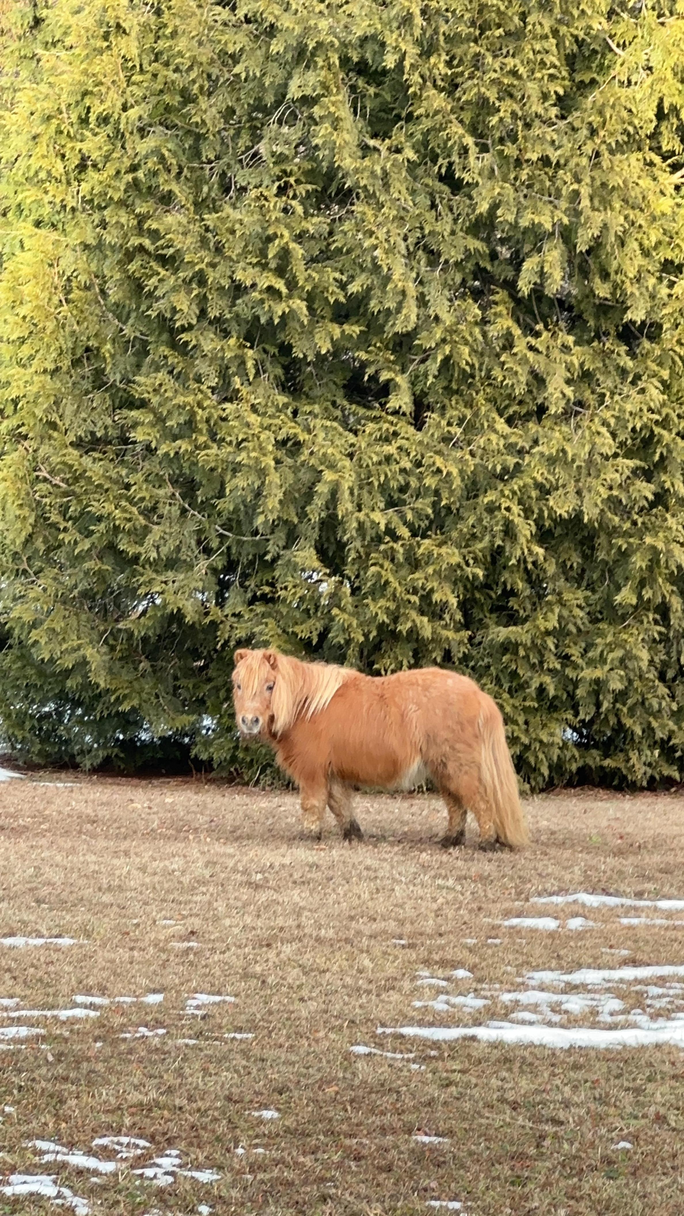 Sleeping & bathroom (top level)