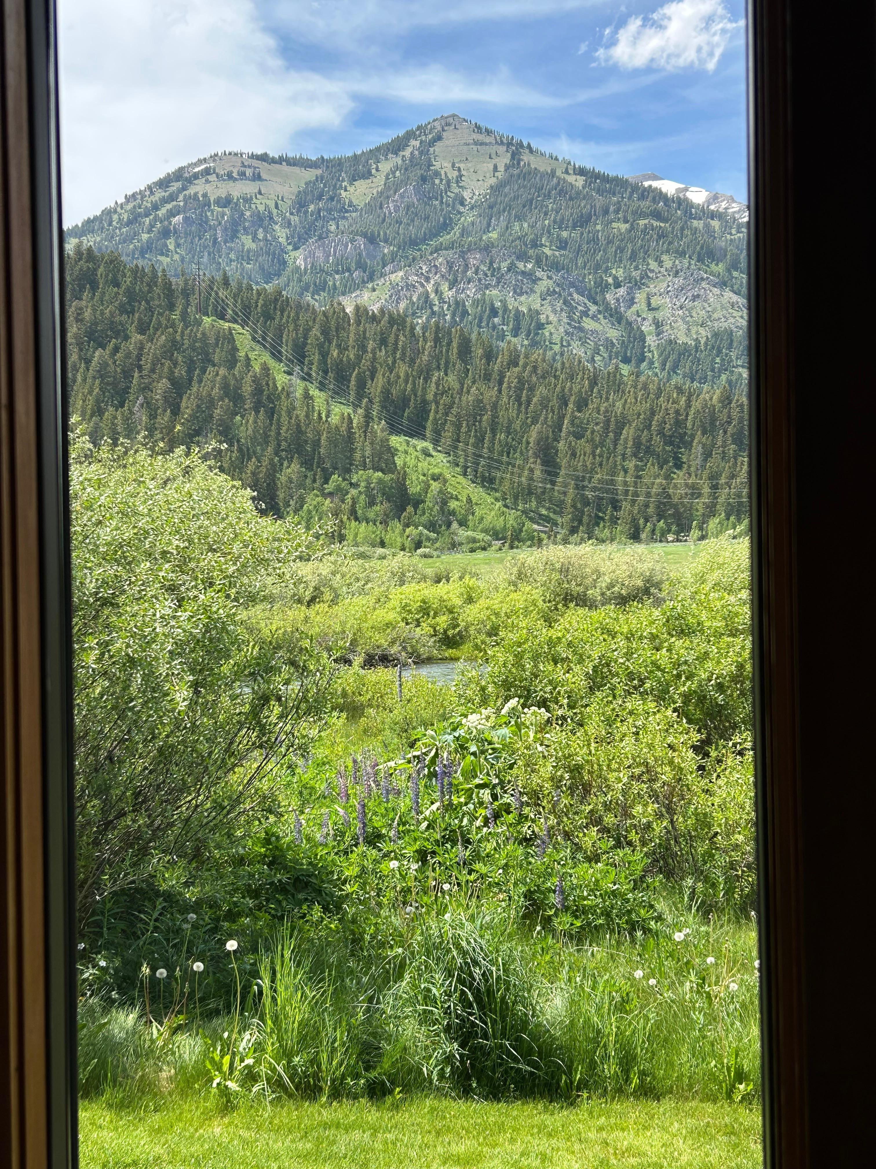  Jew out the back door