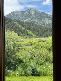 Jew out the back door