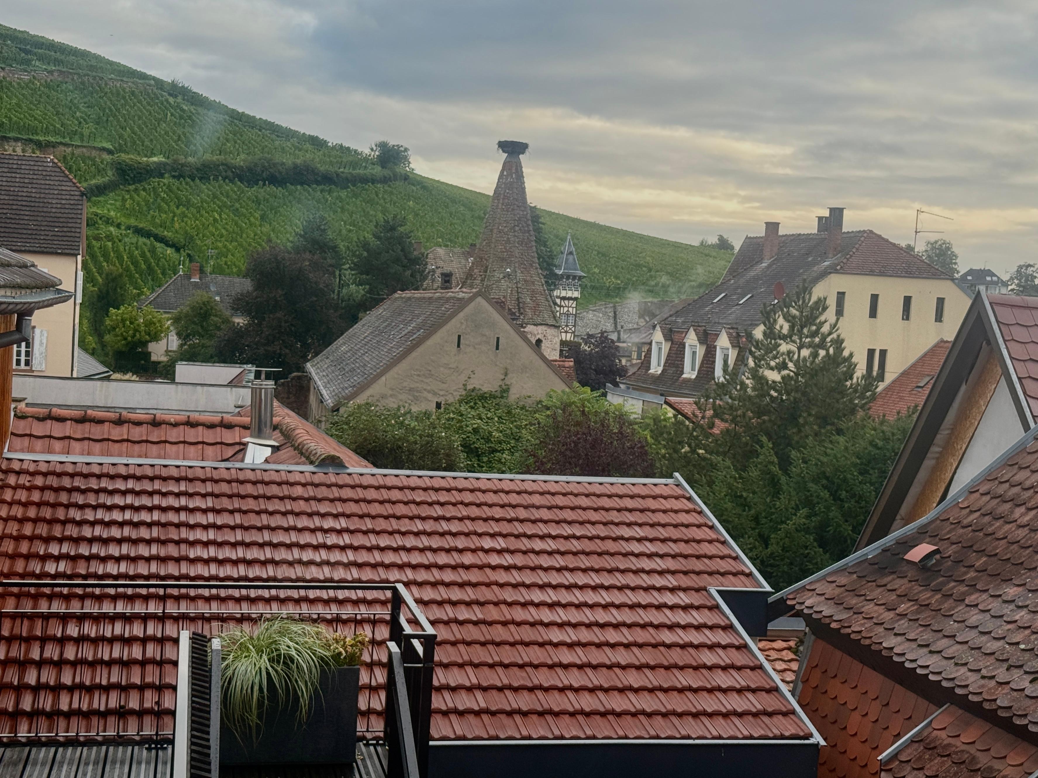 Utsikten från rummet på andra våningen 