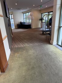 Disgusting carpet two