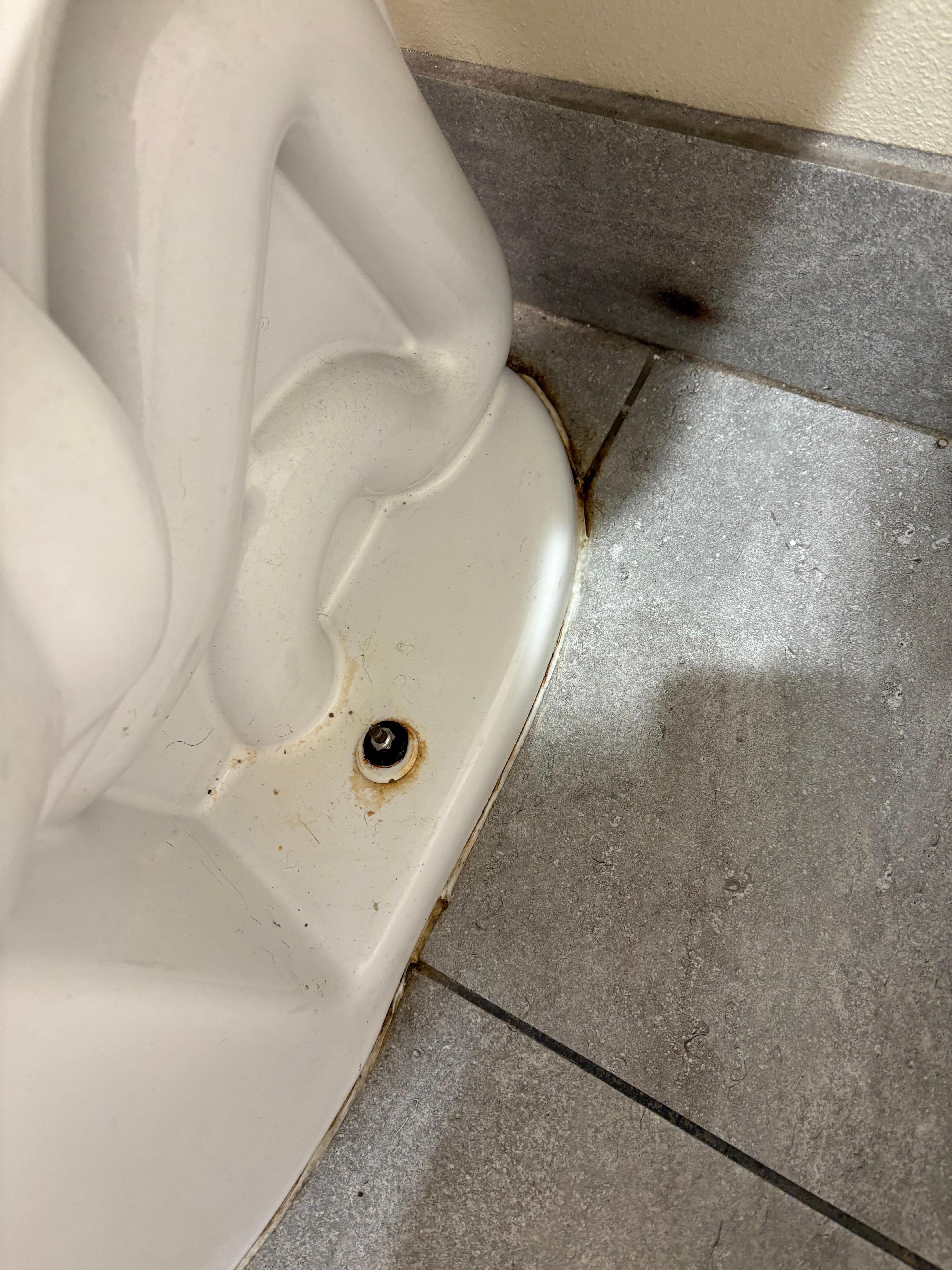 Side 1 of nasty toilet 