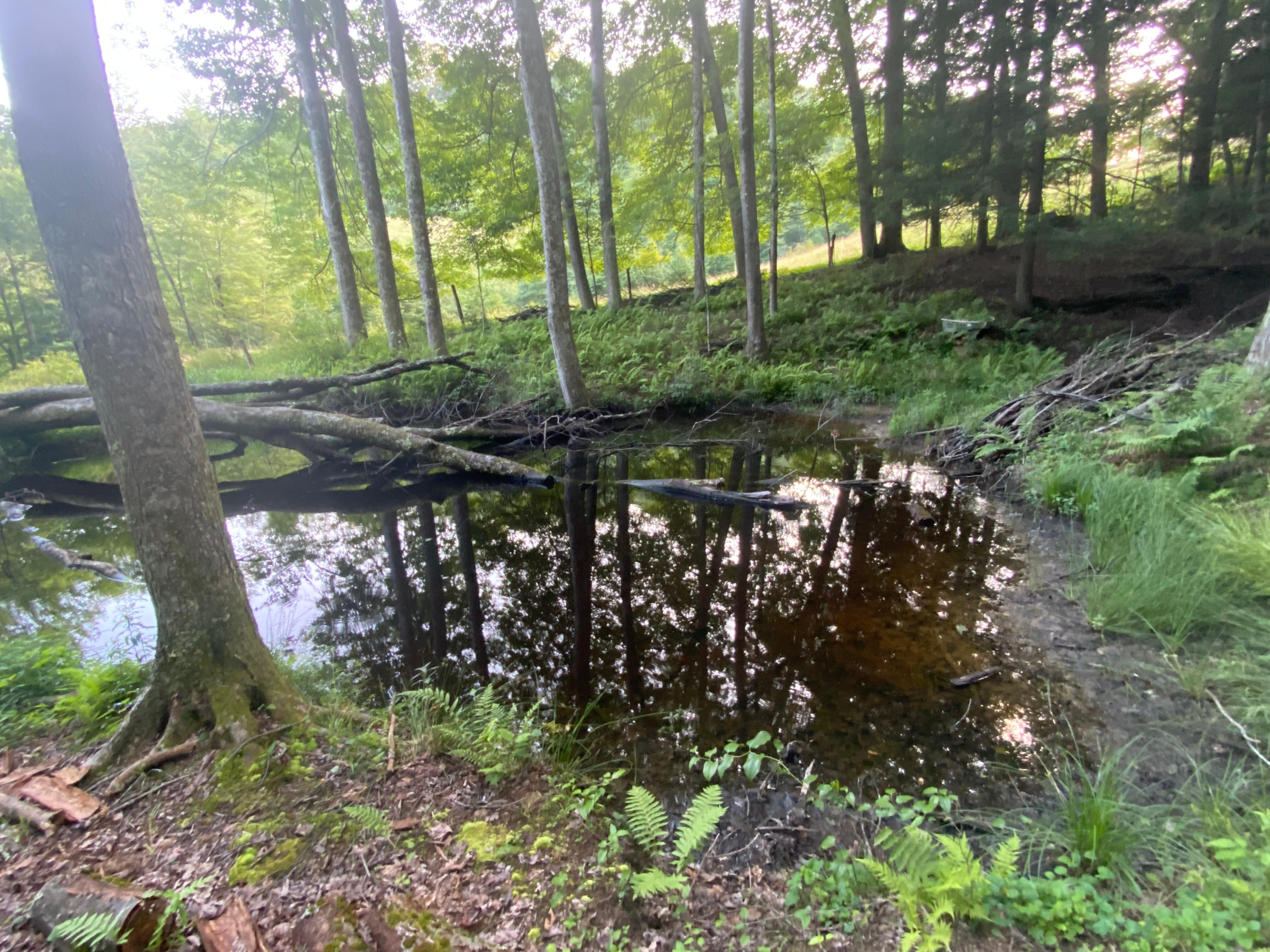 Photo on walk