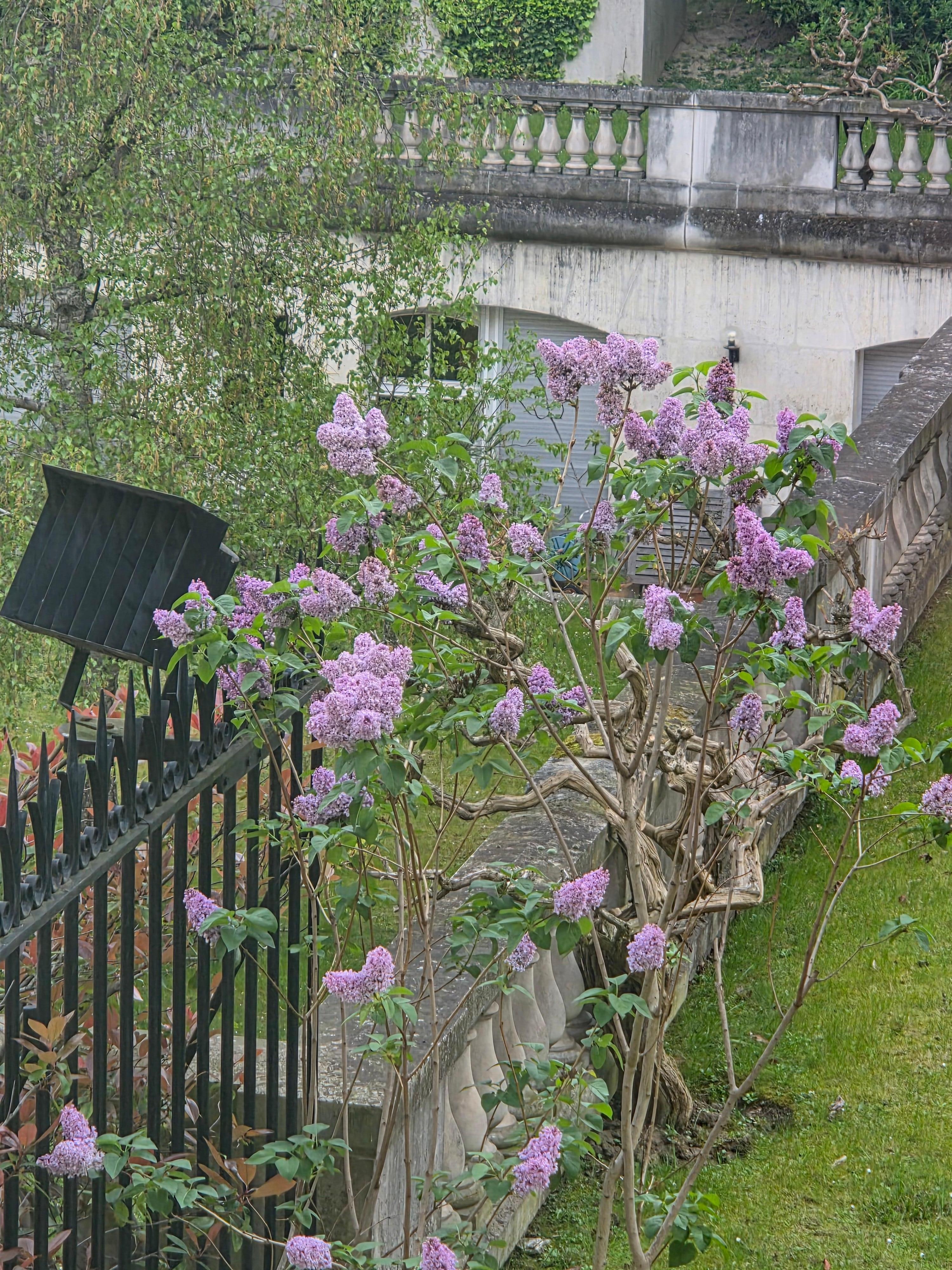 A view of garden from one of the bedrooms.