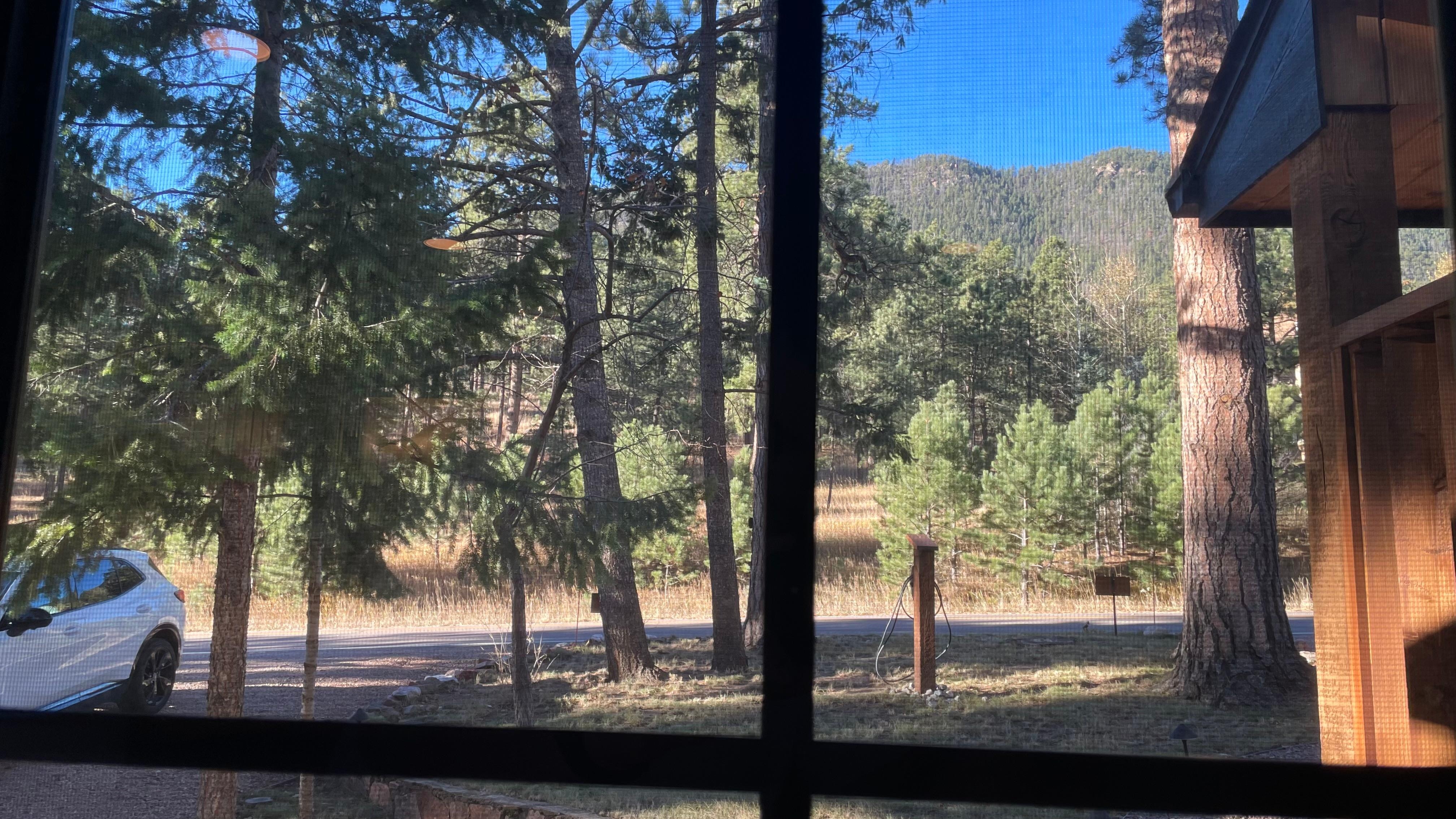 View out the front window