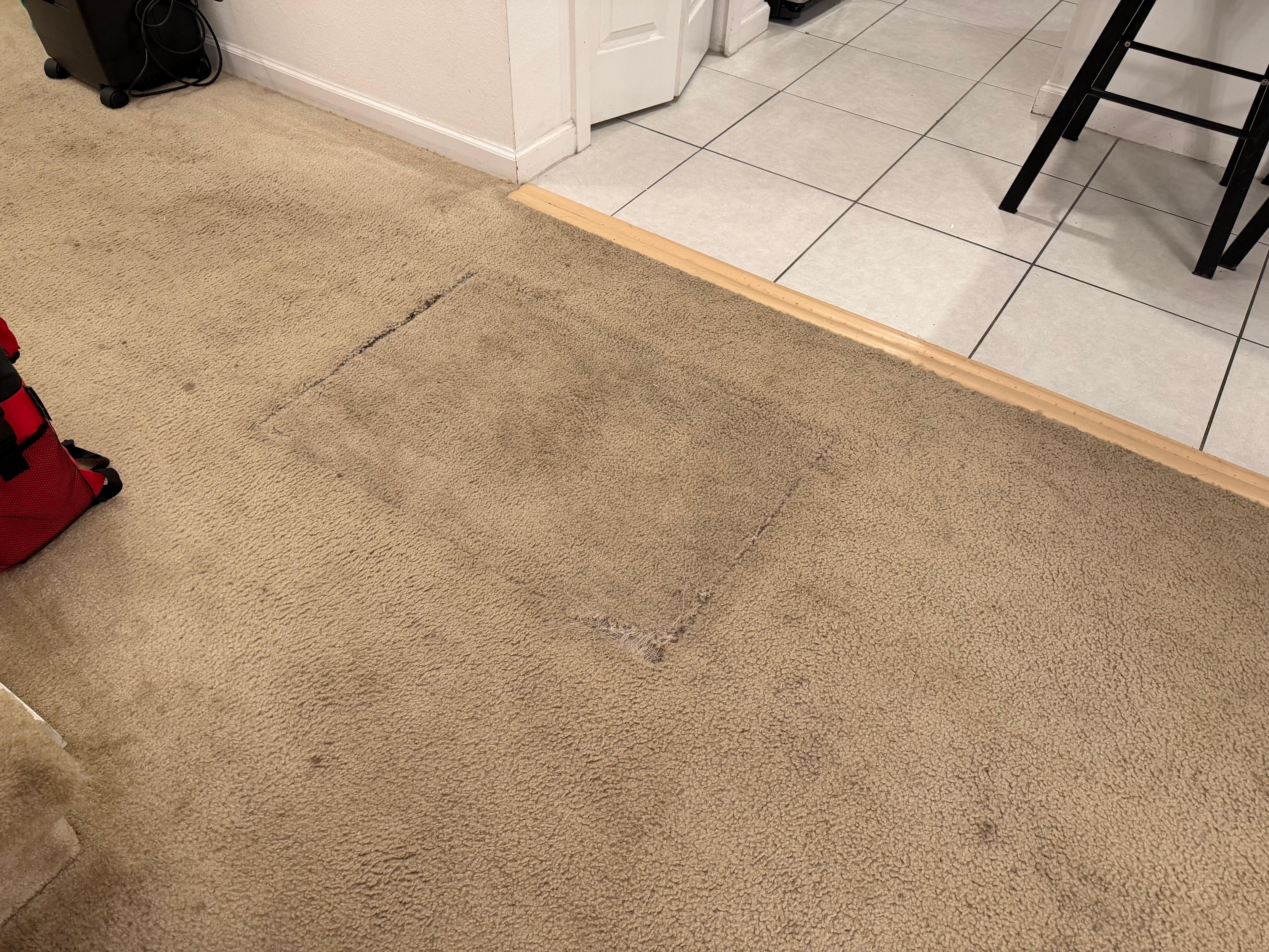 The carpet when you walk in