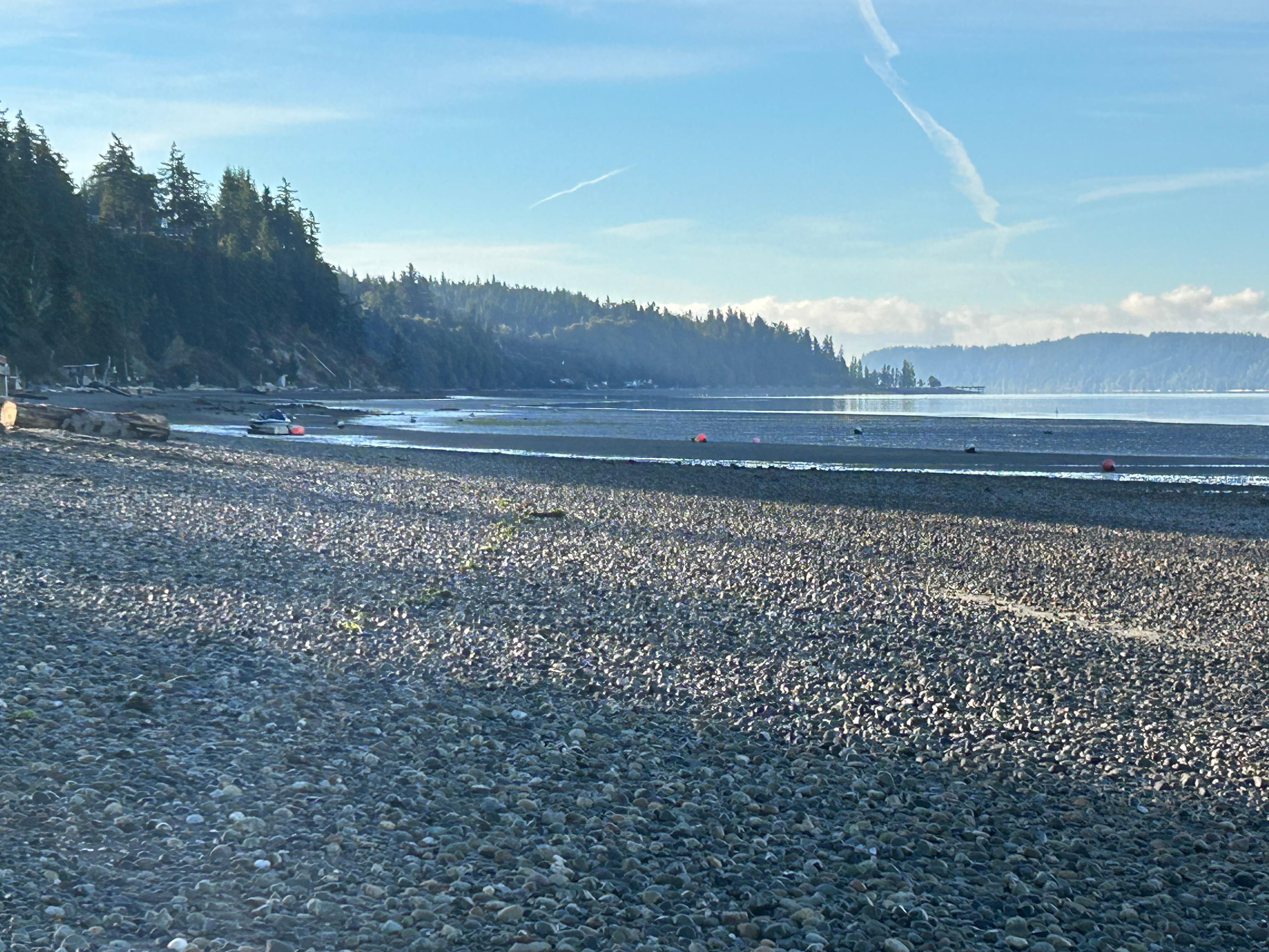 Beach in front of house
