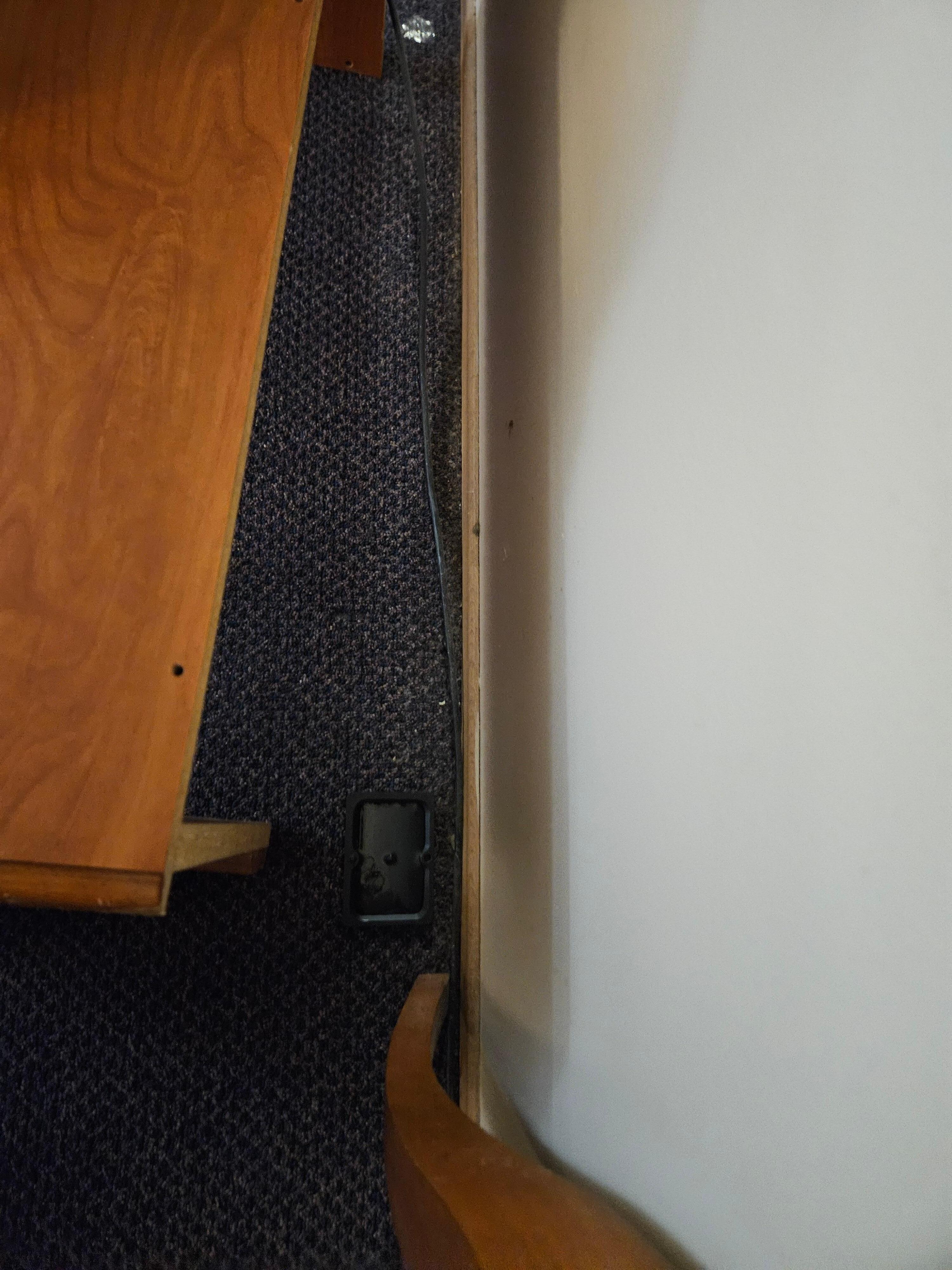 Sticky trap in room "WHY?"  
