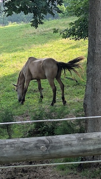 Hay Now!