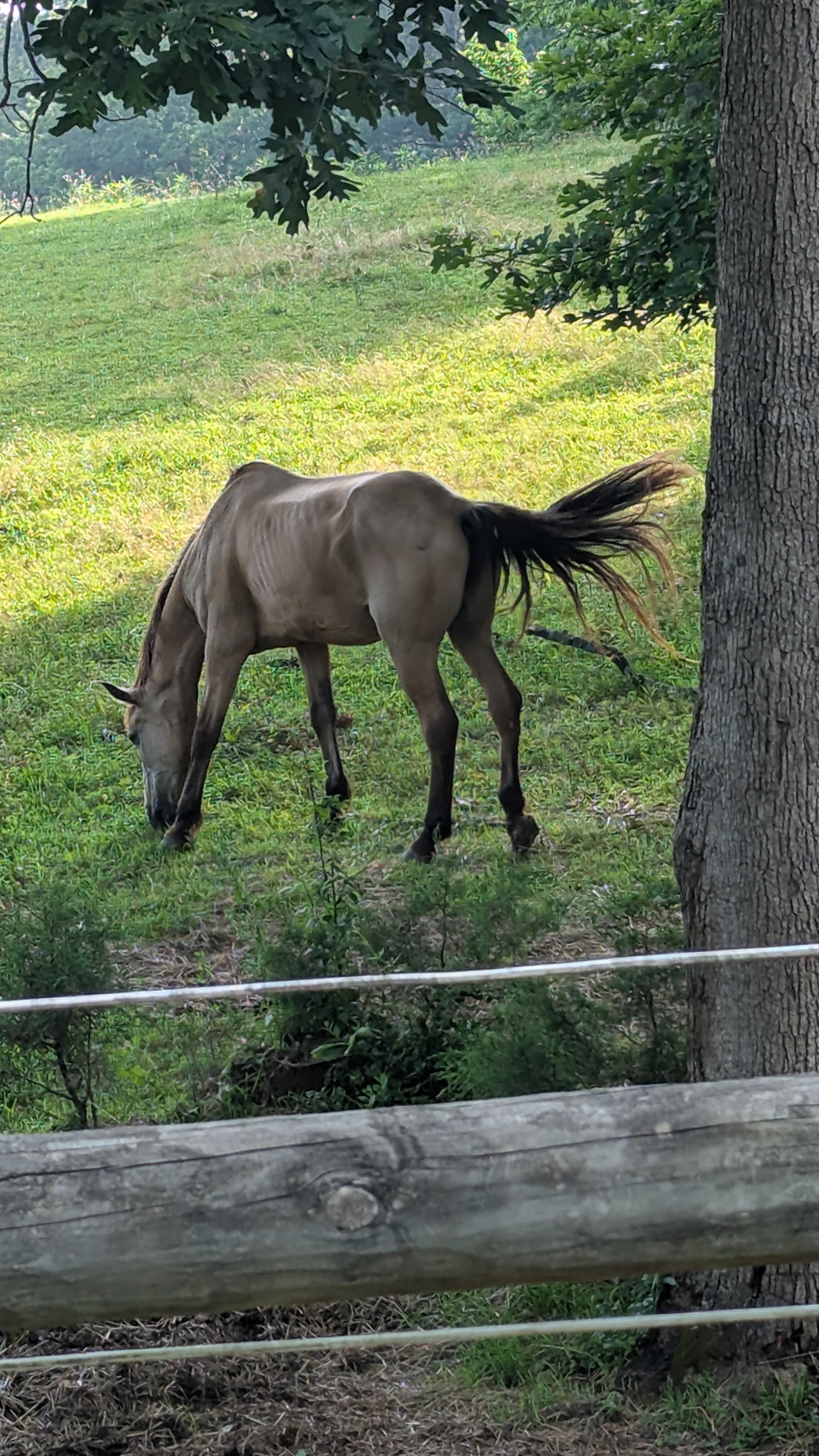 Hay Now!