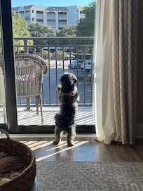 Angel loved the view!