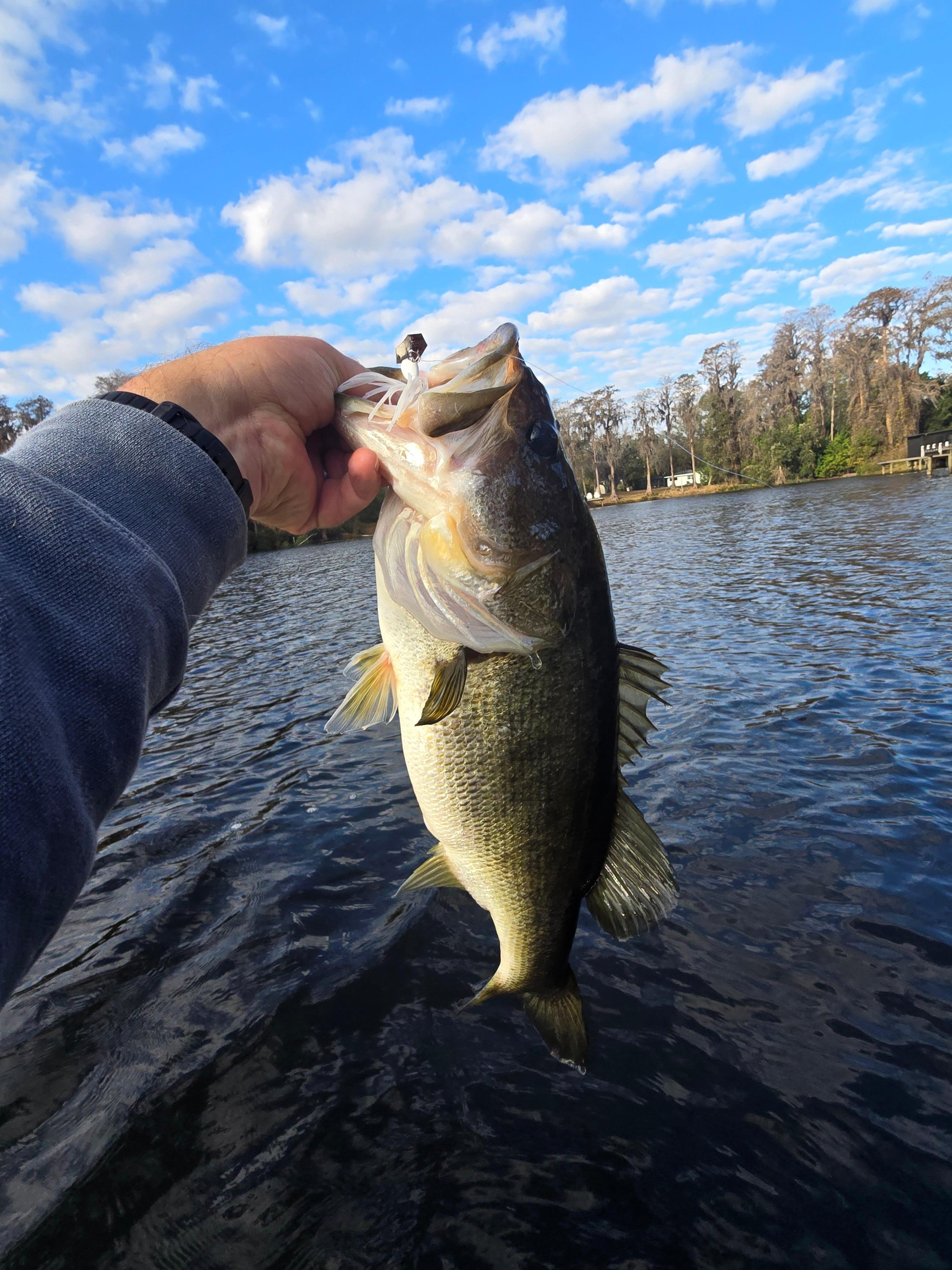 Biggest bass of the trip.