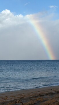 The beach chairs were great