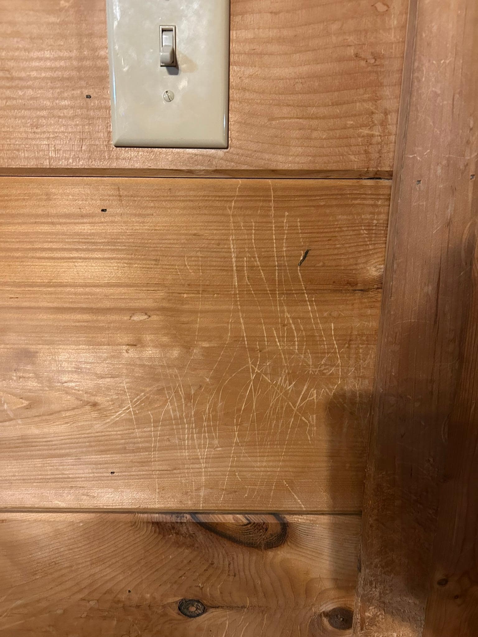 Dog scratches on walls