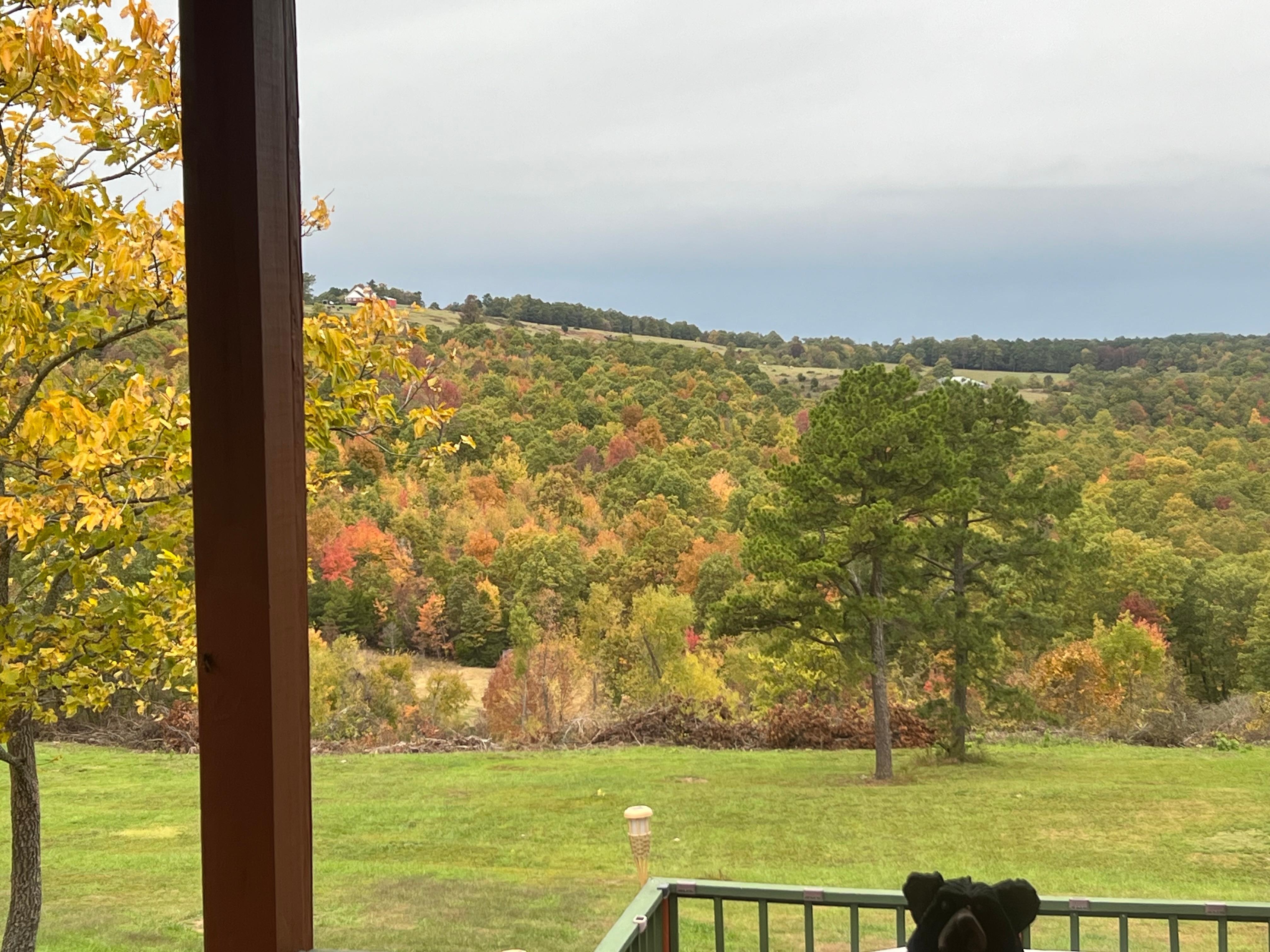 Gorgeous fall color beginning to show from the porch 