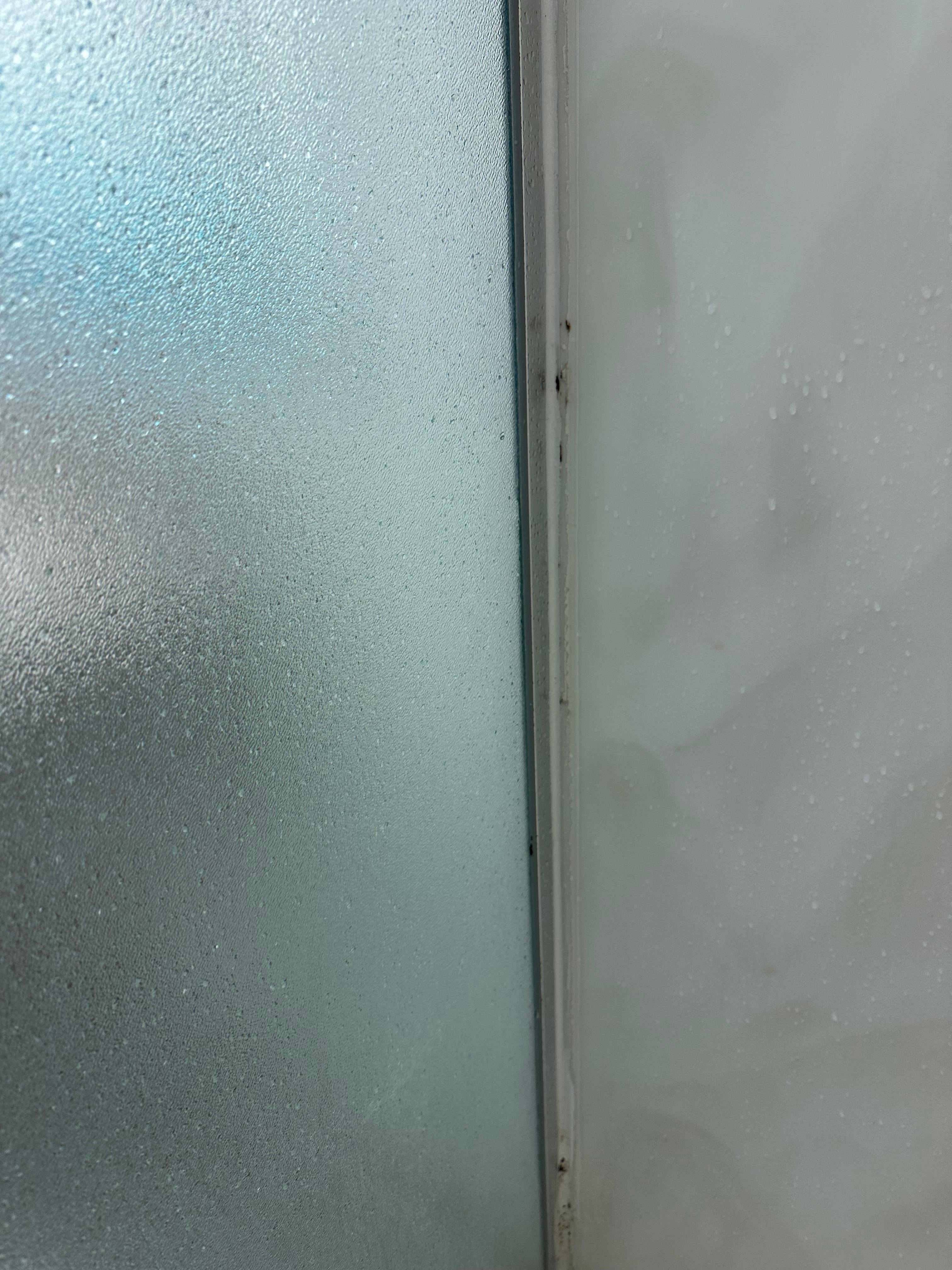 Mold in shower
