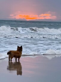 Short walk to the beach. Across the street