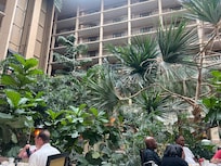 jardín interior hermoso