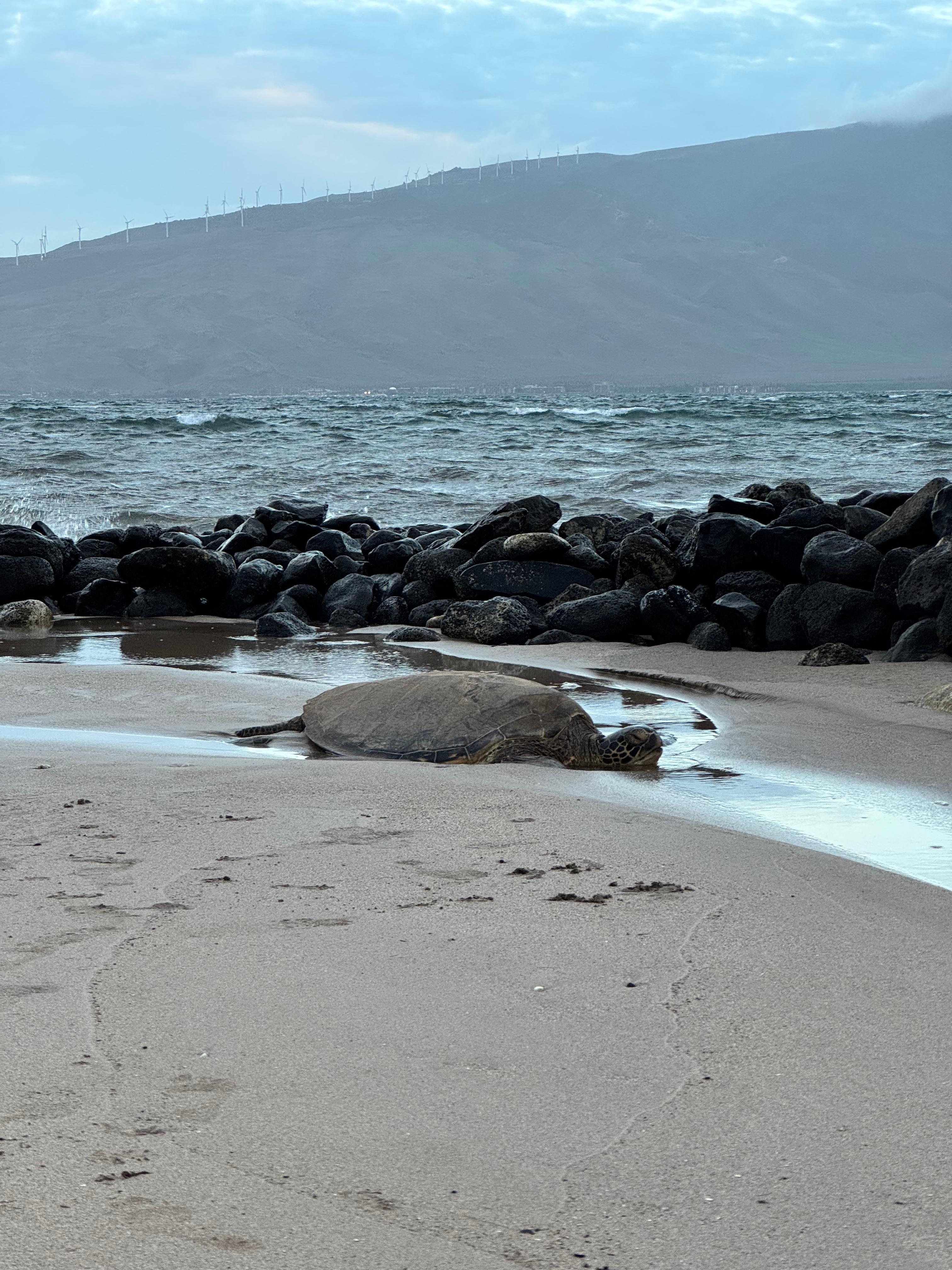 Right across the road!