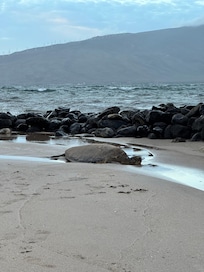 Right across the road!