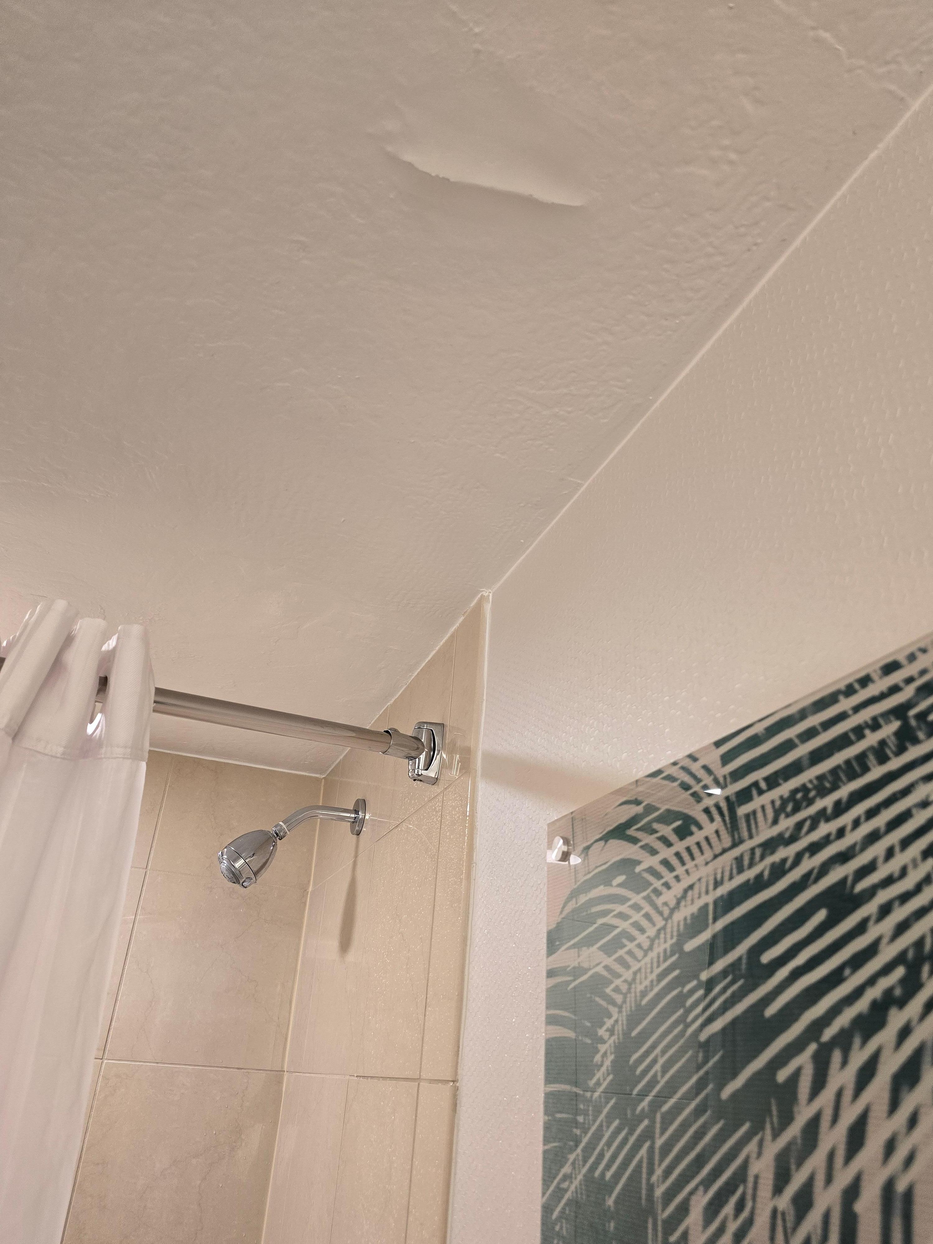 Water spraying from showerhead.