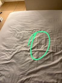 Cucarachas everywhere