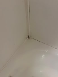 Shower mold