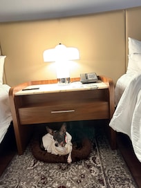 Dog bed and bowls included in our stay!