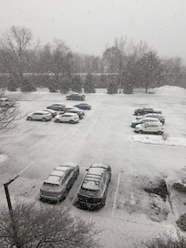 It’s winter in Albany! This is shot from the 4th floor.