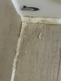 Along bath tub and floor