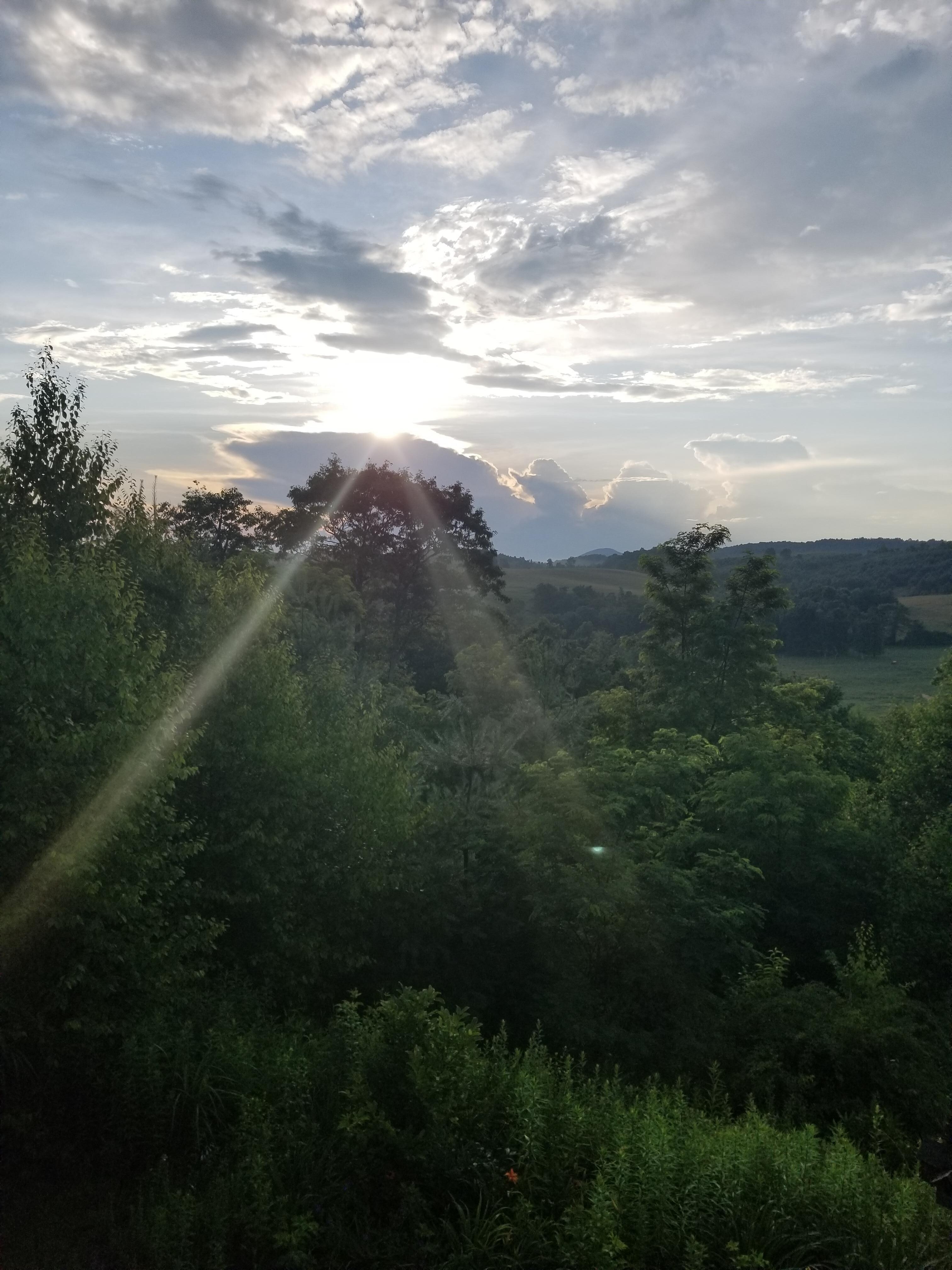 Back deck view