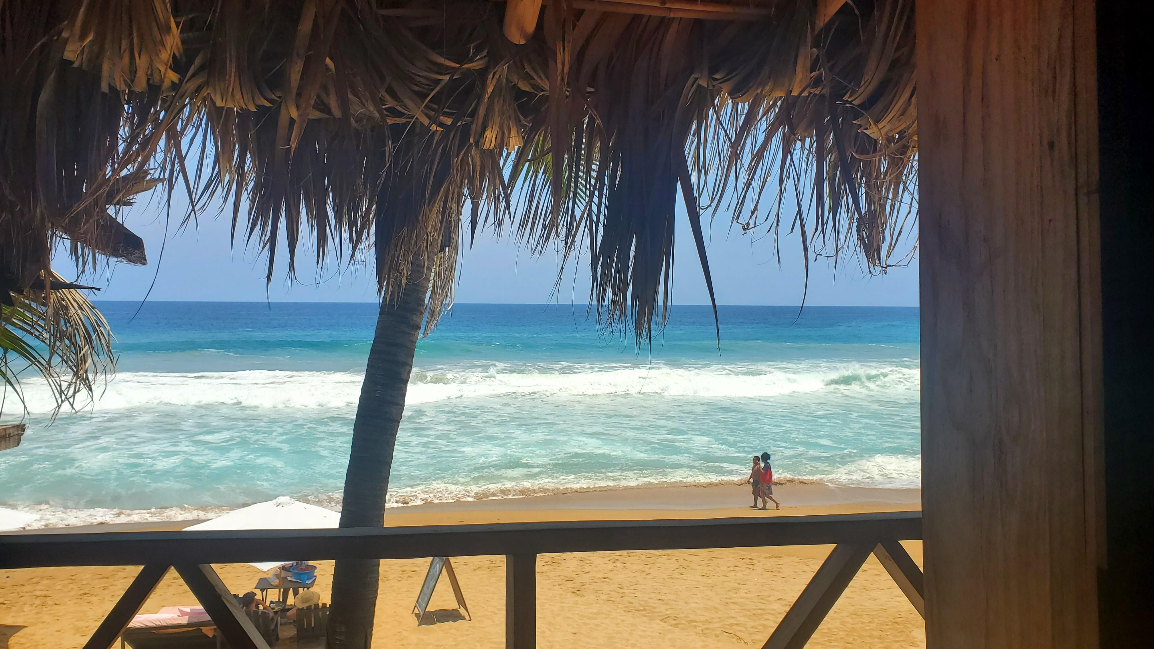 The view from my room.