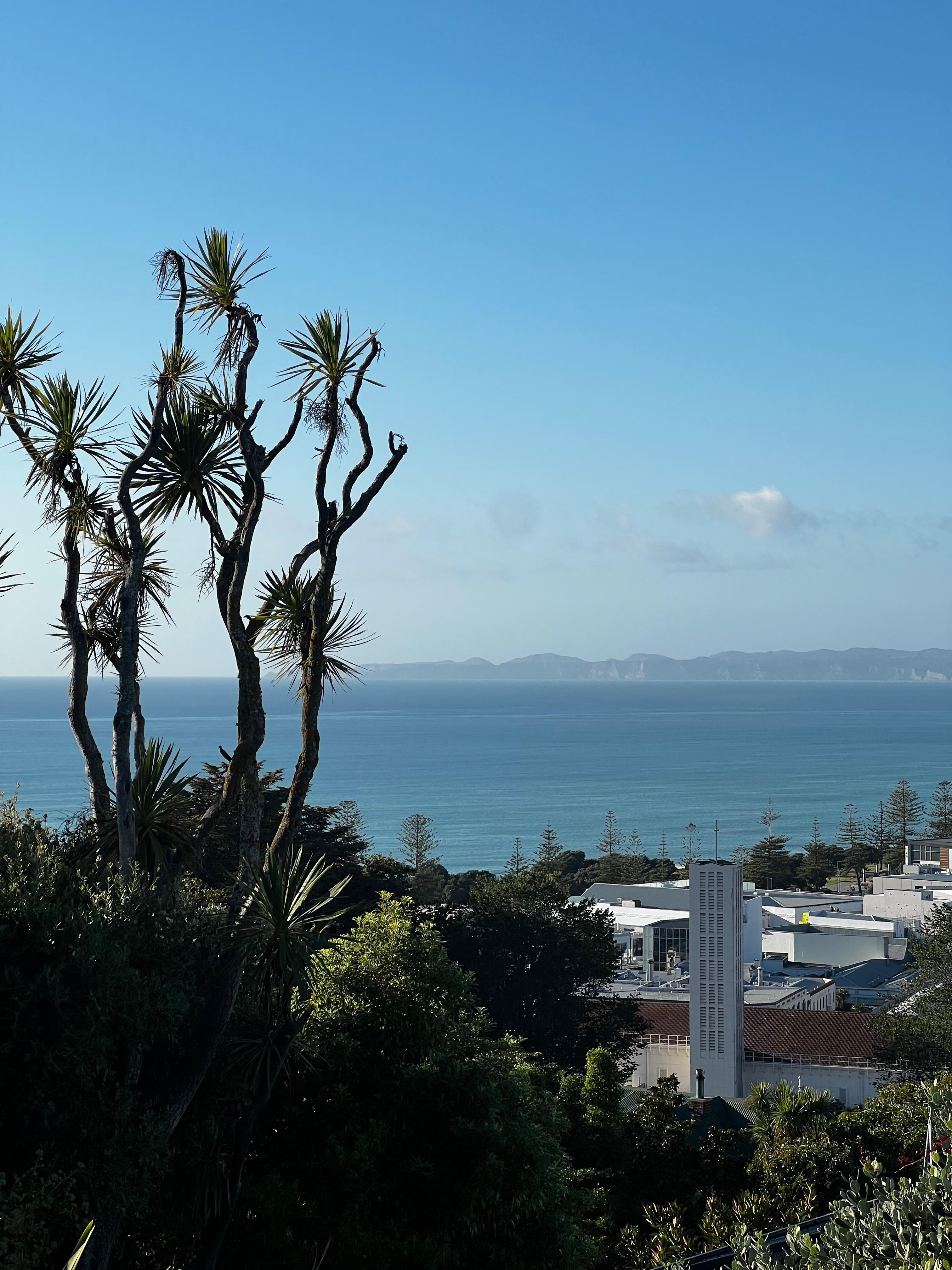 A view from the patio