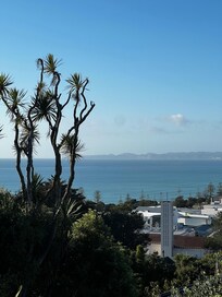 A view from the patio