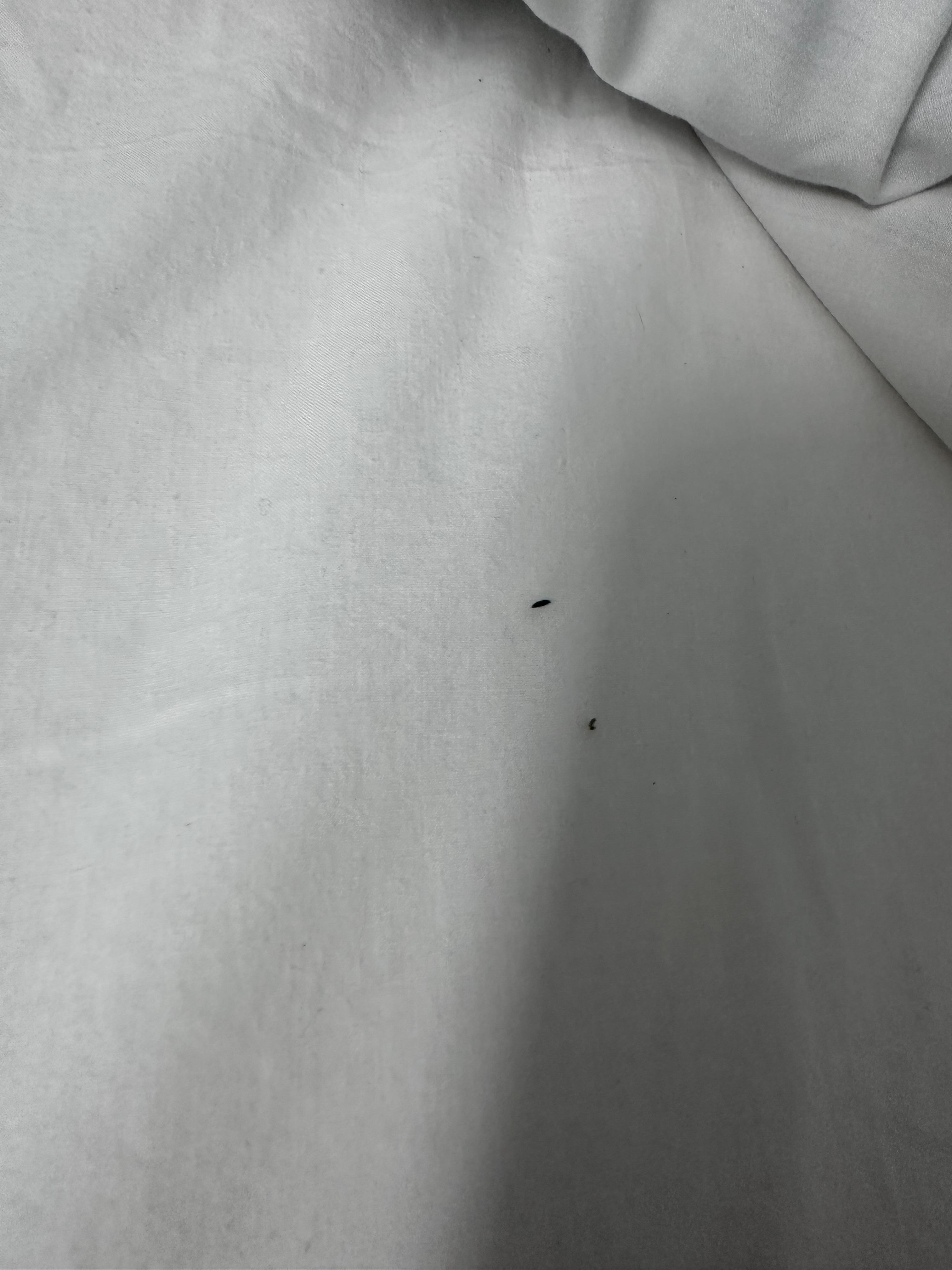Pubic/body hair everywhere in the bed.