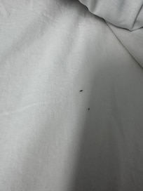 Pubic/body hair everywhere in the bed.