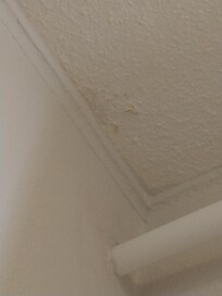 Water damage on ceiling
