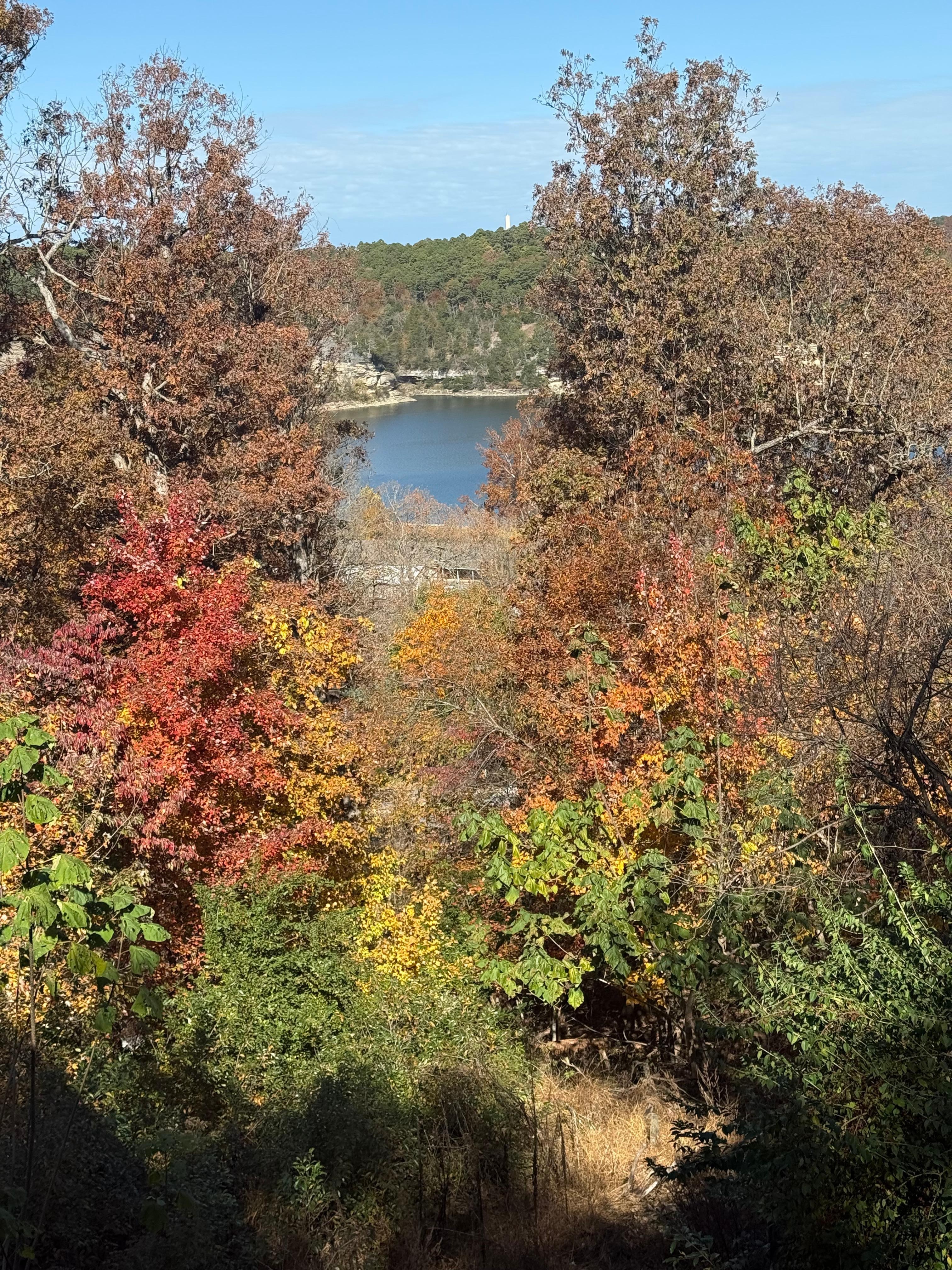 Initial view before the leaves had fallen