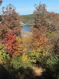 Initial view before the leaves had fallen