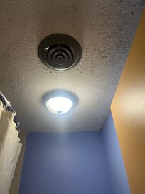 Mold on ceiling