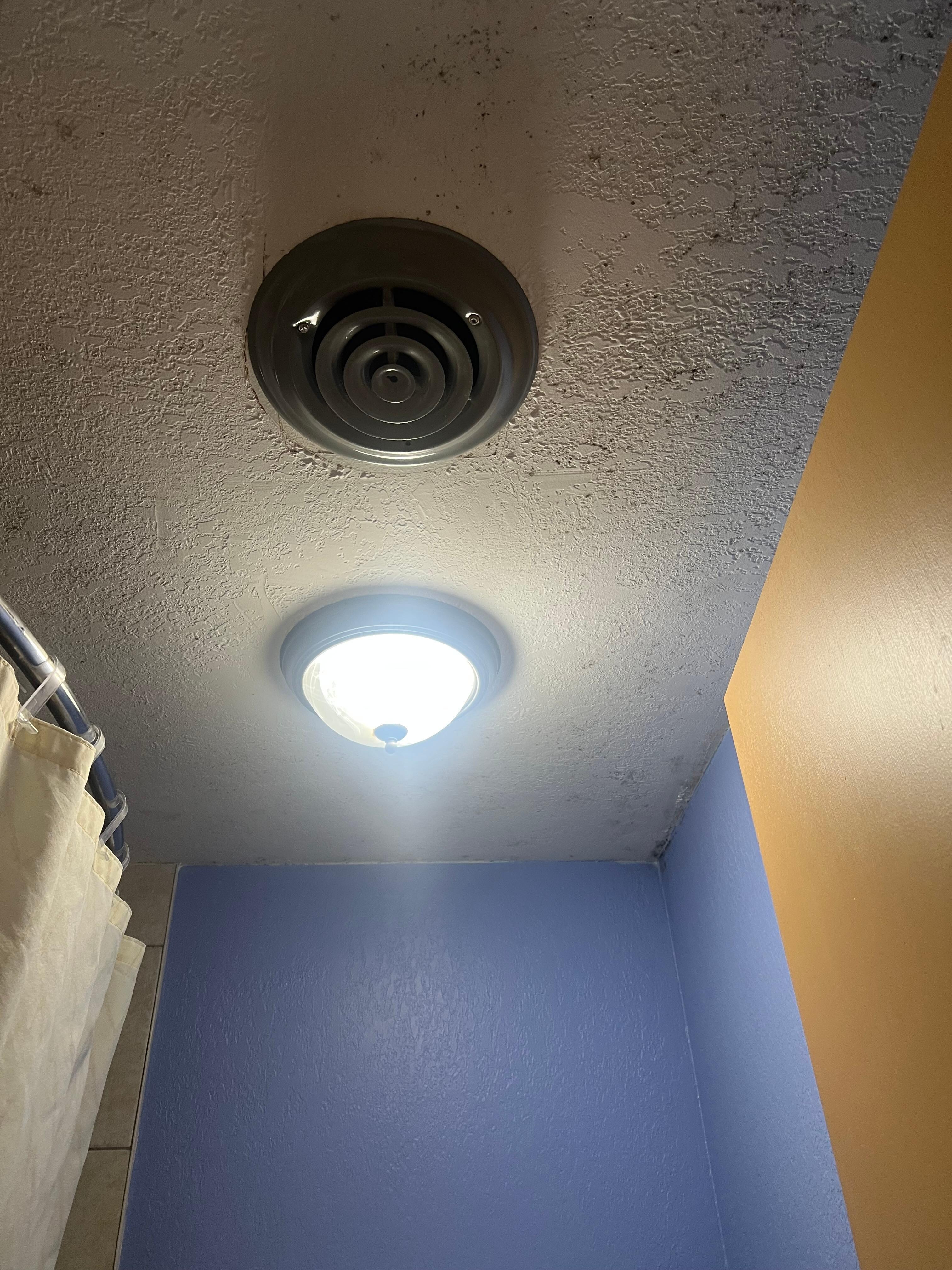 Mold on ceiling