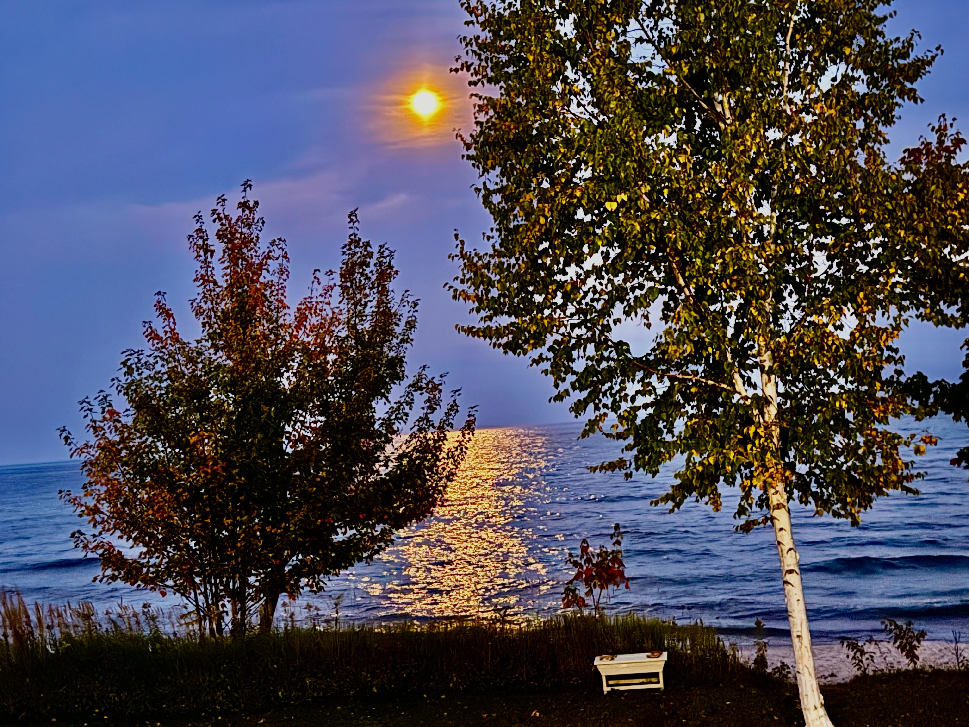 Moon was amazing over Laje Superior