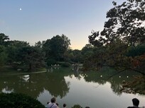 Bot gardens during the Japanese fest