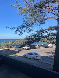 Window view