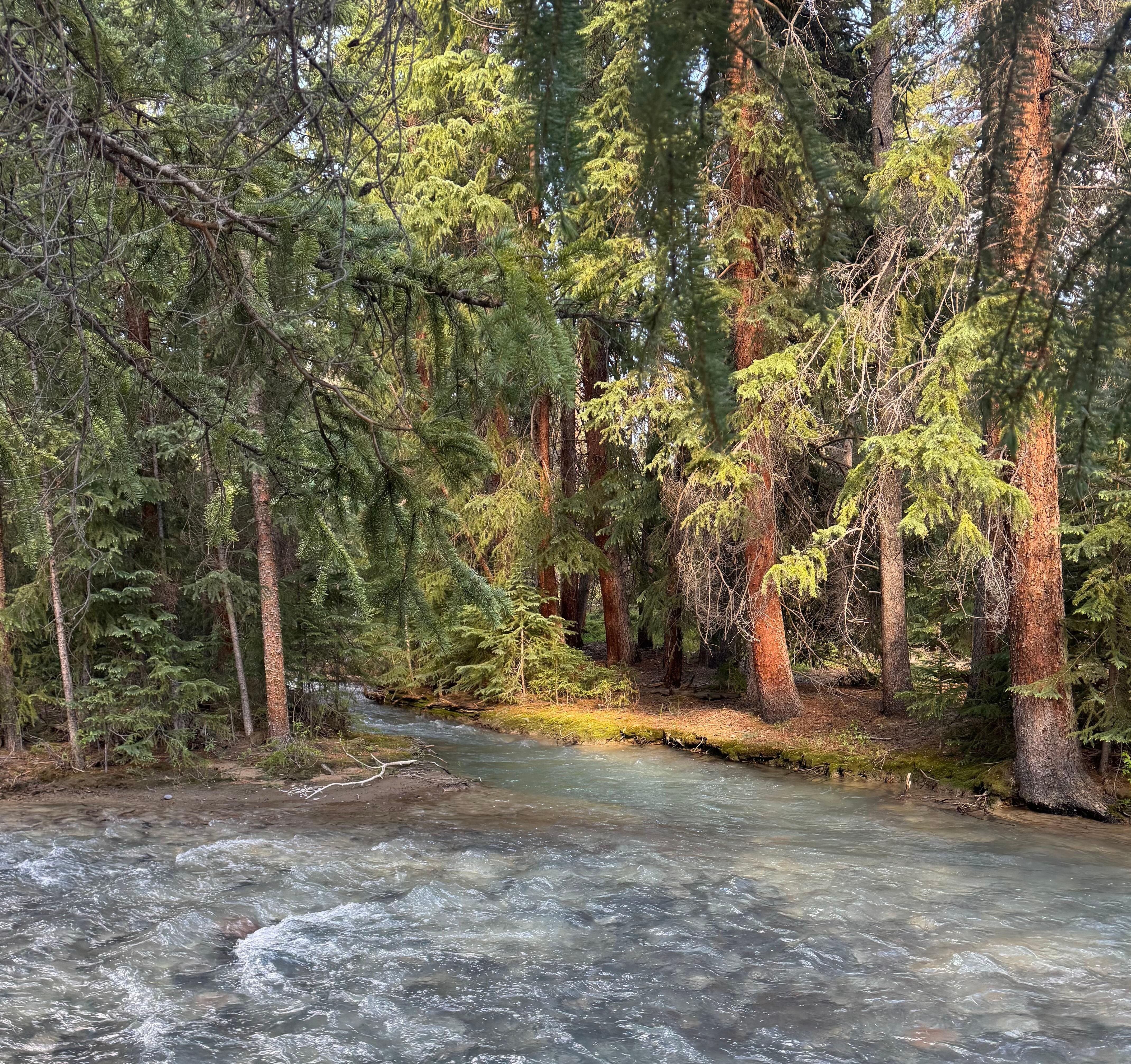 Snake River behind the condo. 