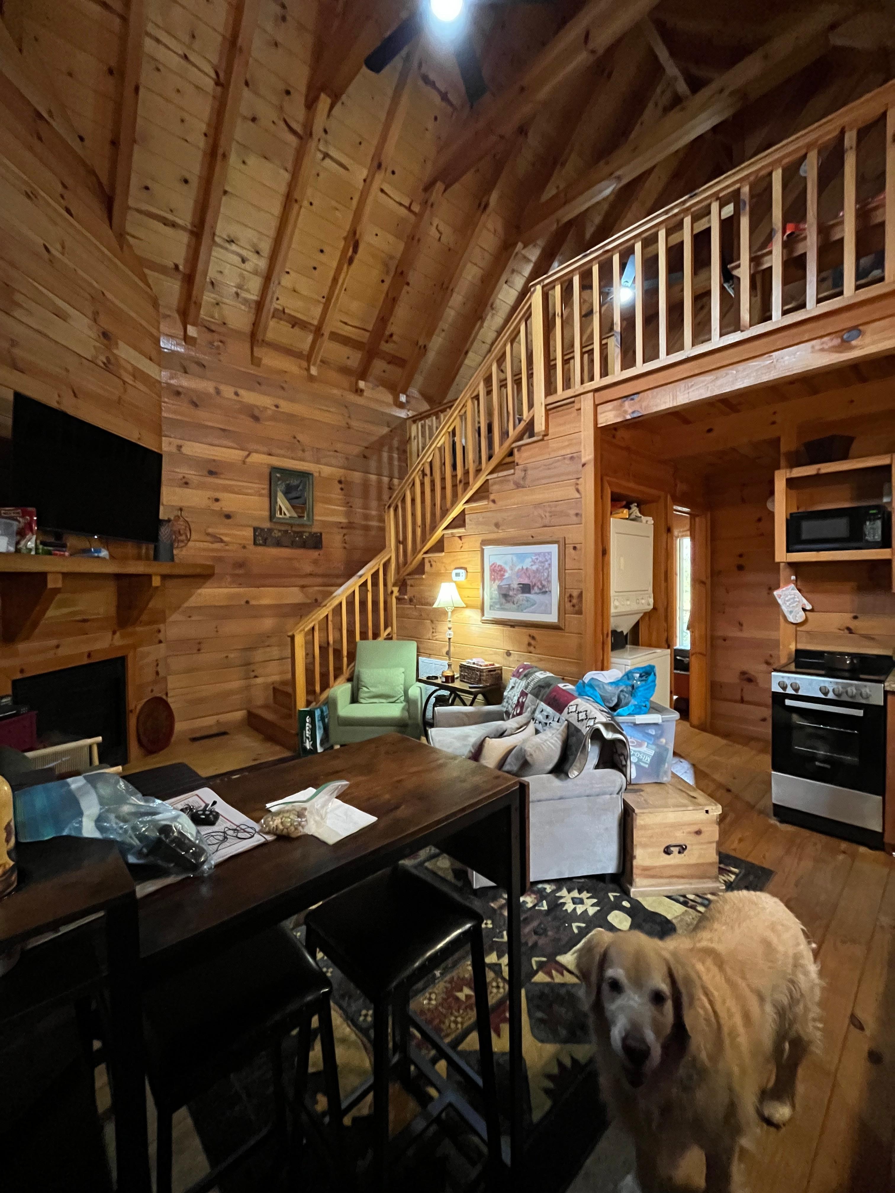 Fireplace with timer