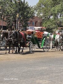 Marrakech