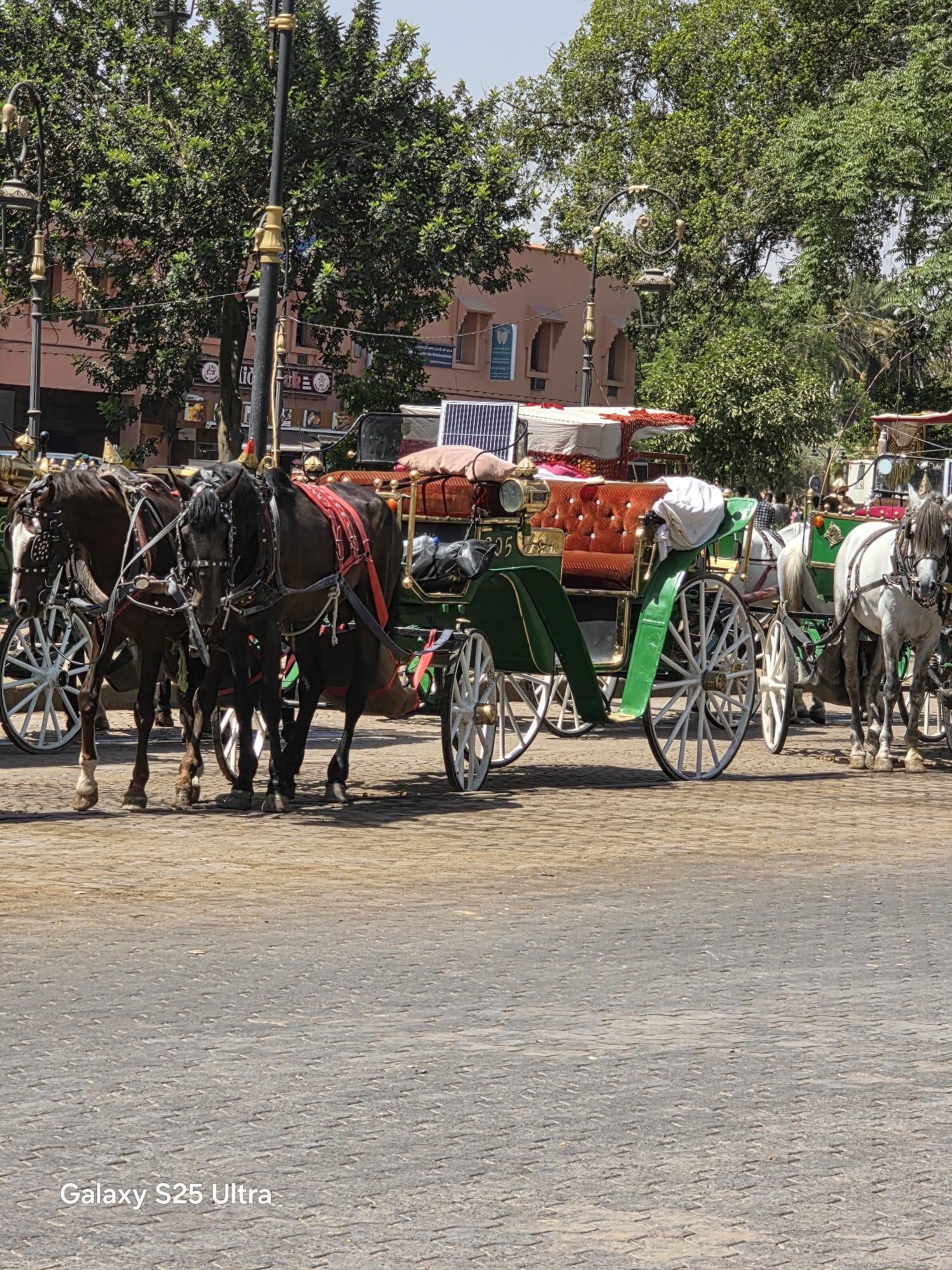 Marrakech