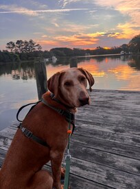 On the dock
